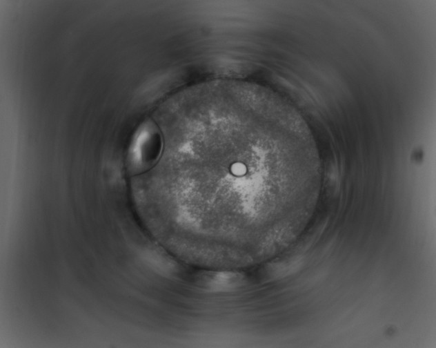 X0000101110663200807171937