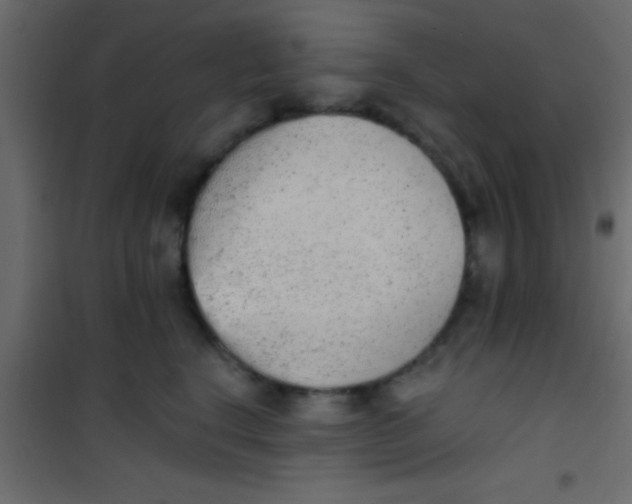 X0000101110664200807171937