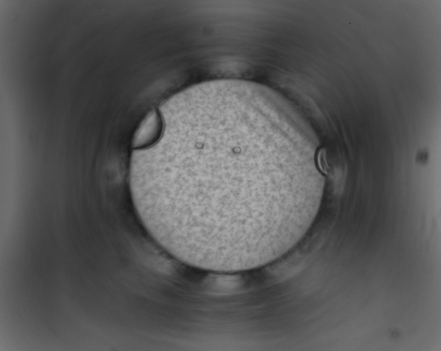 X0000101110665200807171938