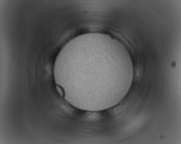 X0000101110667200807171938