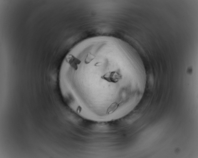 X0000101110668200807171938