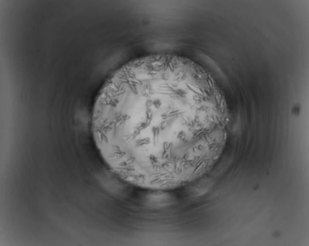X0000101110669200807171938