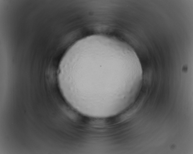 X0000101110671200807171938