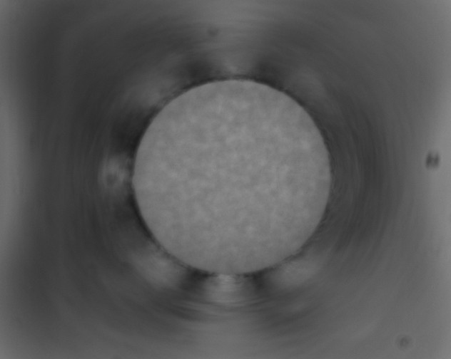 X0000101110672200807171938