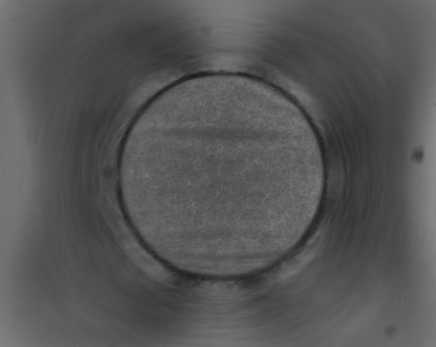 X0000101110673200807171937