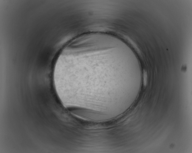 X0000101110675200807171937