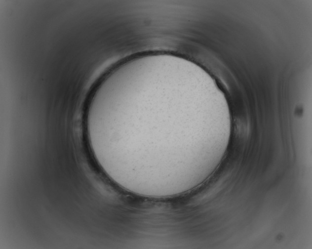 X0000101110676200807171937