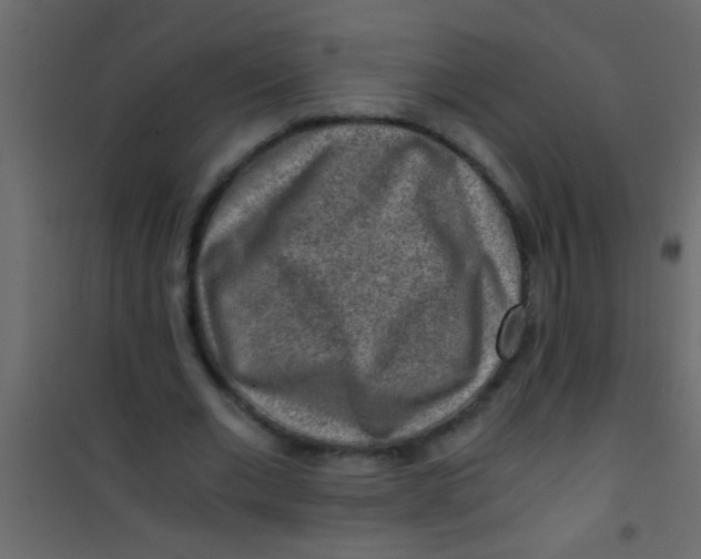 X0000101110677200807171937