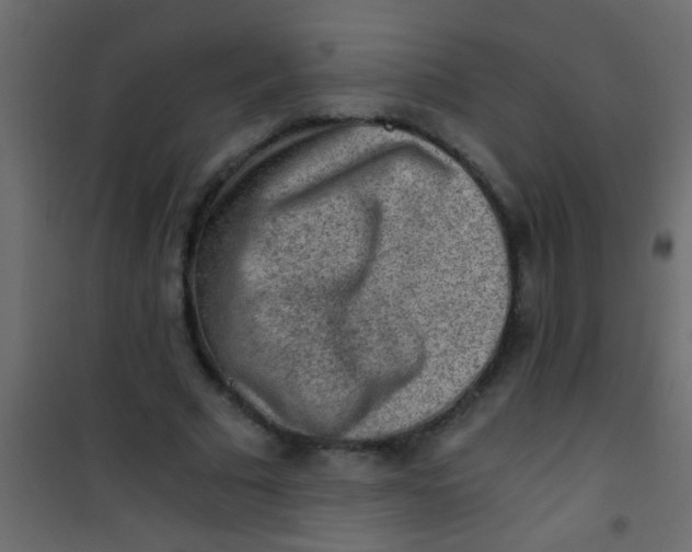 X0000101110681200807171937