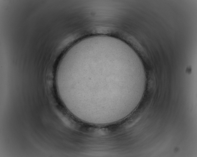 X0000101110683200807171937