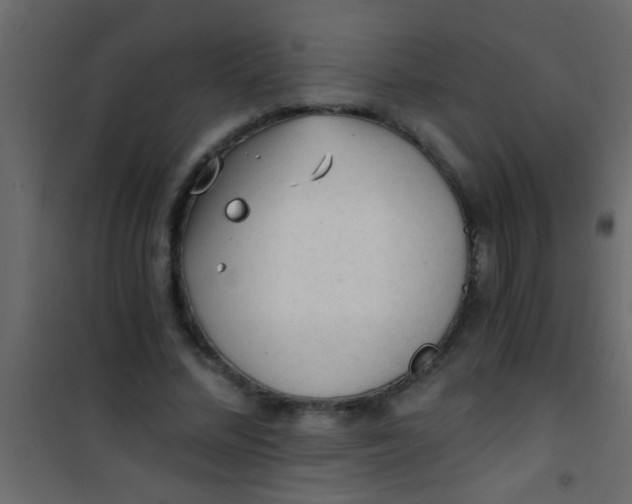 X0000101110684200807171937