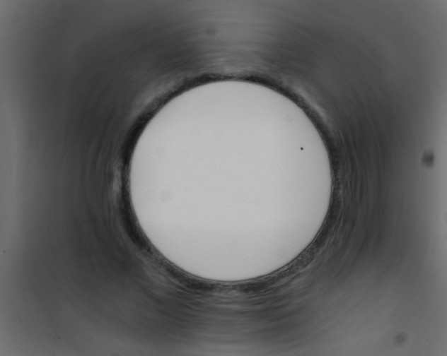X0000101110685200807171937