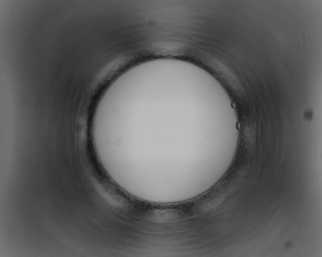 X0000101110686200807171937