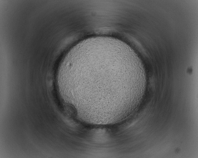 X0000101110687200807171937
