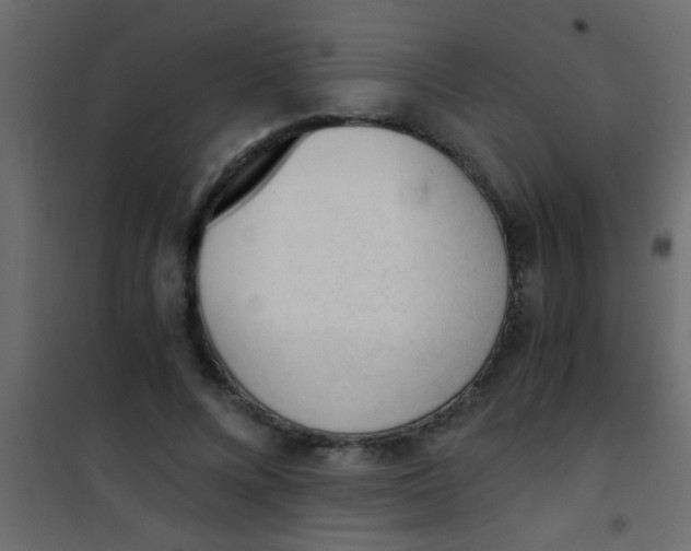 X0000101110688200807171937