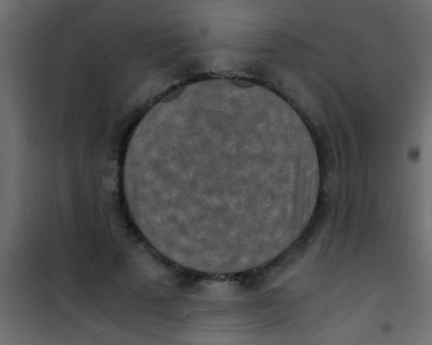 X0000101110689200807171937
