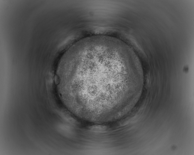 X0000101110691200807171937