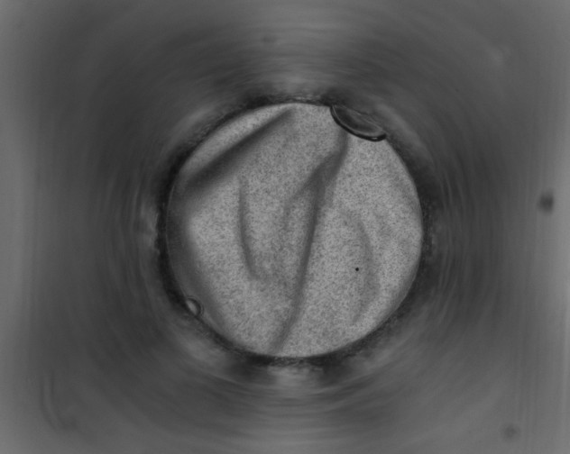 X0000101110693200807171937