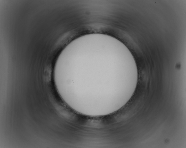 X0000101110694200807171937