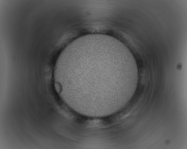 X0000101110695200807171937