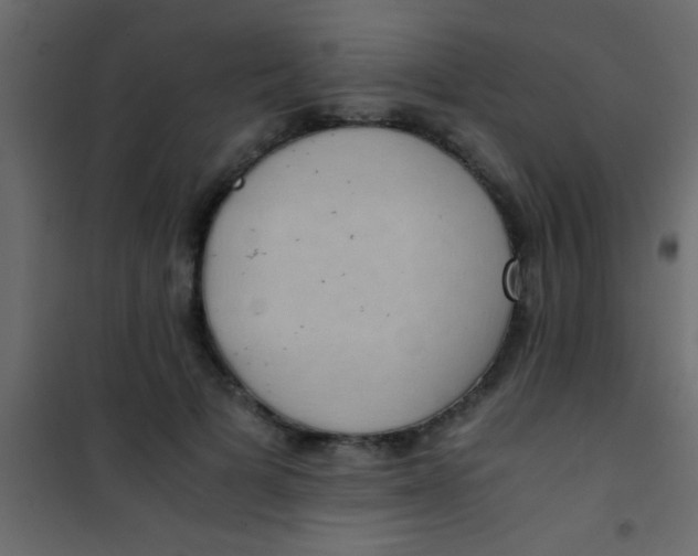 X0000101110697200807171937