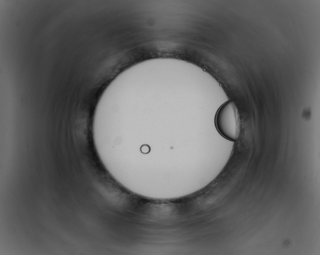 X0000101110698200807171937