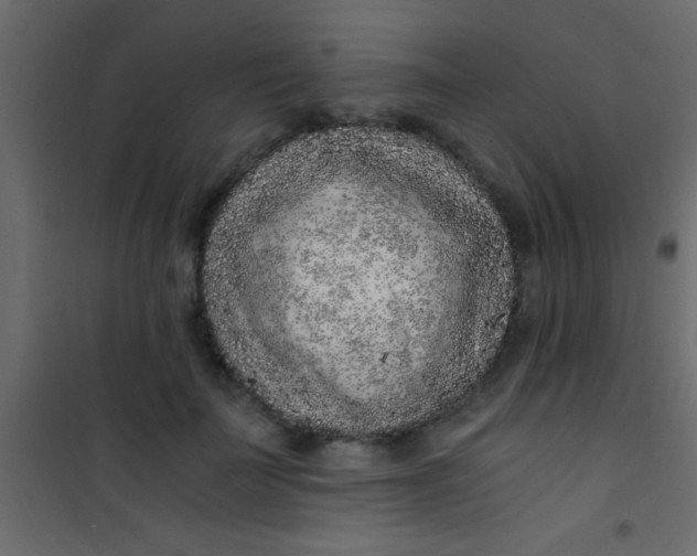 X0000101110699200807171937