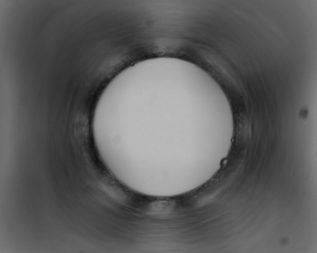 X0000101110700200807171937