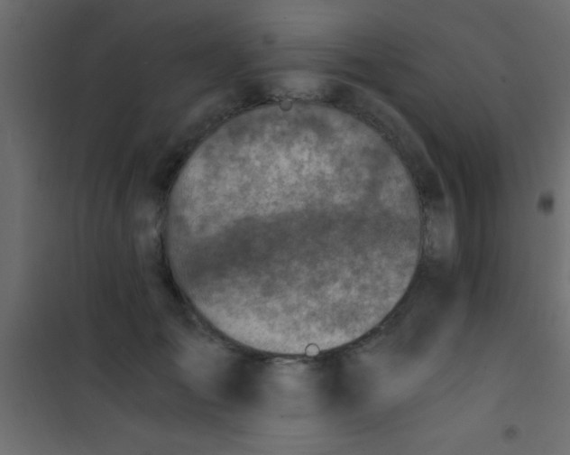 X0000101110701200807171937