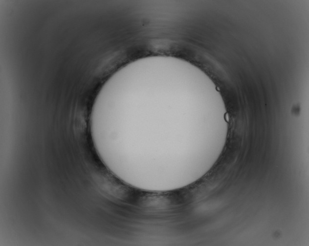 X0000101110702200807171937