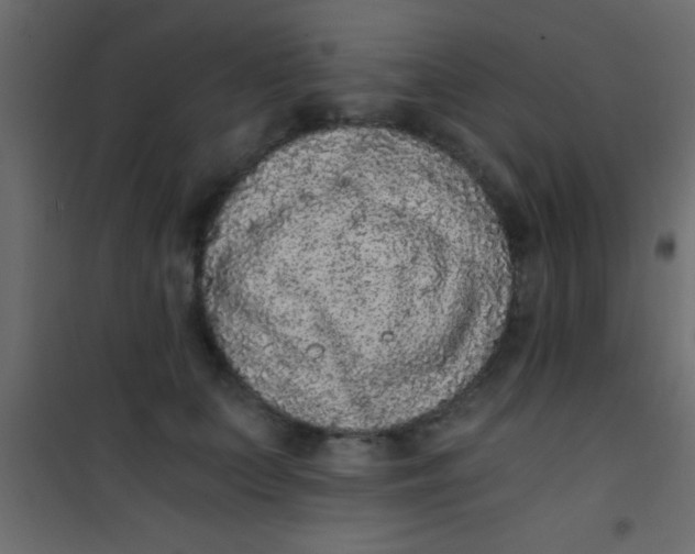 X0000101110703200807171937
