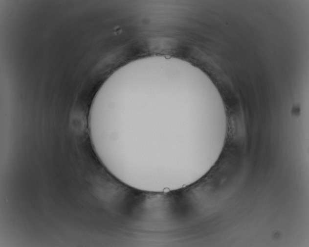 X0000101110705200807171936