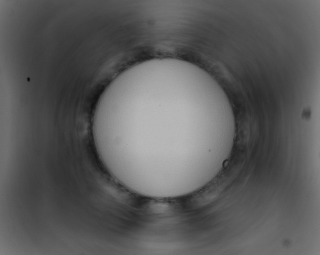 X0000101110706200807171936