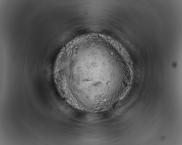 X0000101110707200807171936