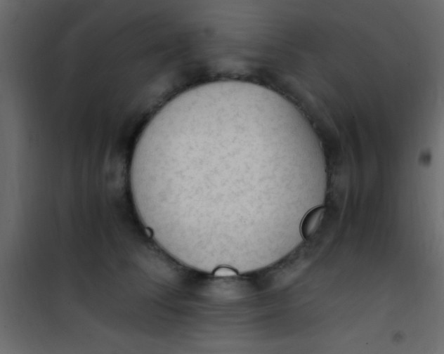 X0000101110708200807171936