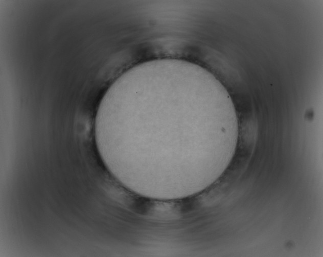 X0000101110709200807171936