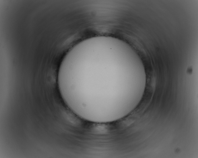 X0000101110710200807171936