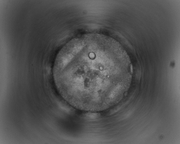 X0000101110711200807171936
