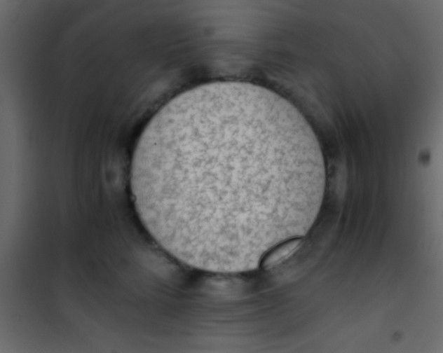 X0000101110712200807171936