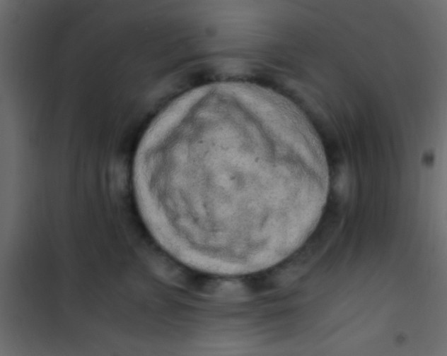 X0000101110715200807171936