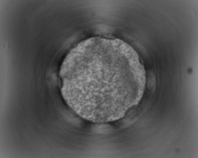 X0000101110716200807171936