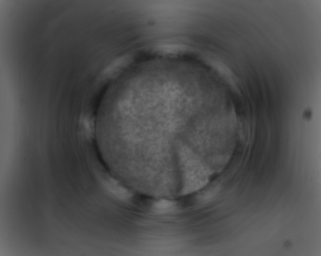 X0000101110718200807171936