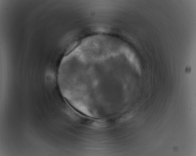 X0000101110720200807171936