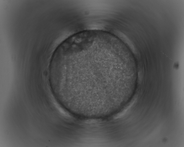 X0000101110721200807171936