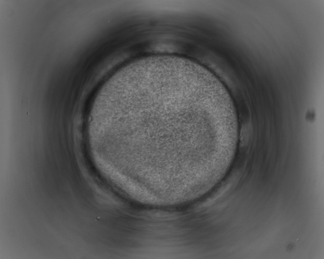 X0000101110722200807171936
