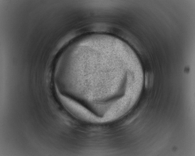 X0000101110723200807171936