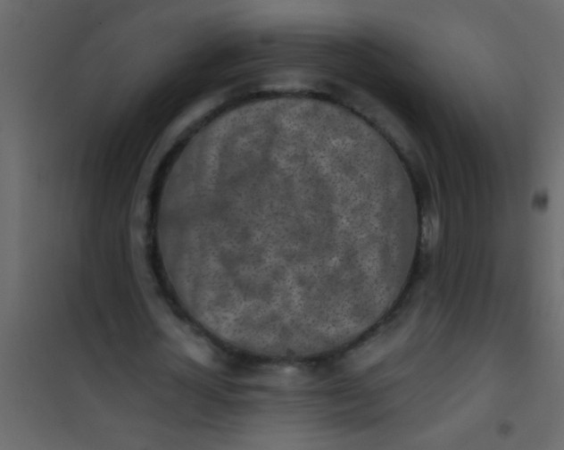 X0000101110724200807171936
