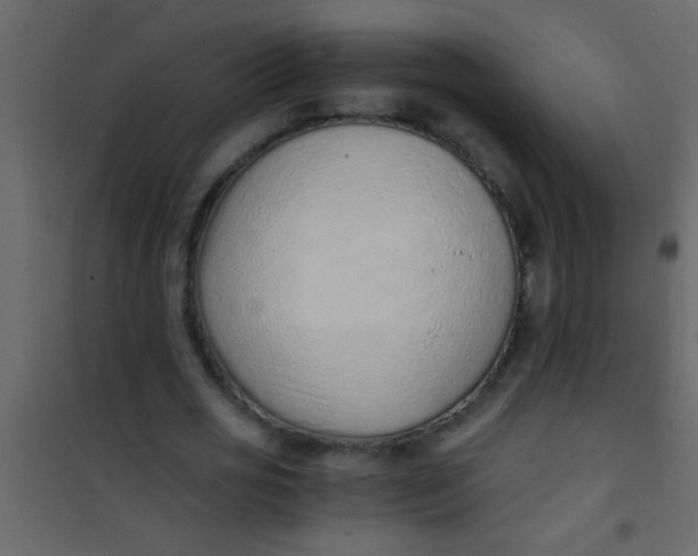 X0000101110725200807171936