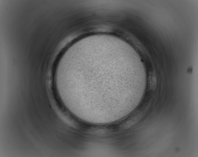 X0000101110726200807171936