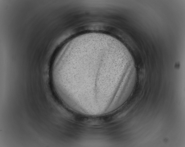 X0000101110727200807171936